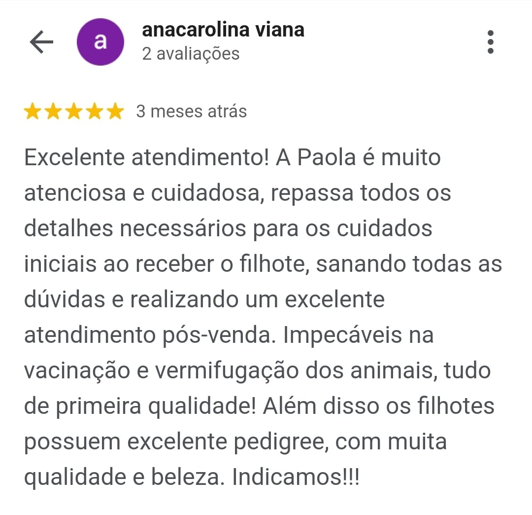 imagem_2024-02-22_144300414