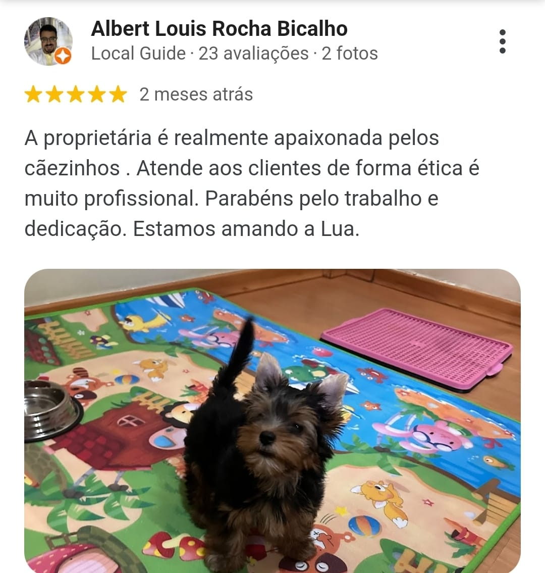 imagem_2024-02-22_144325642