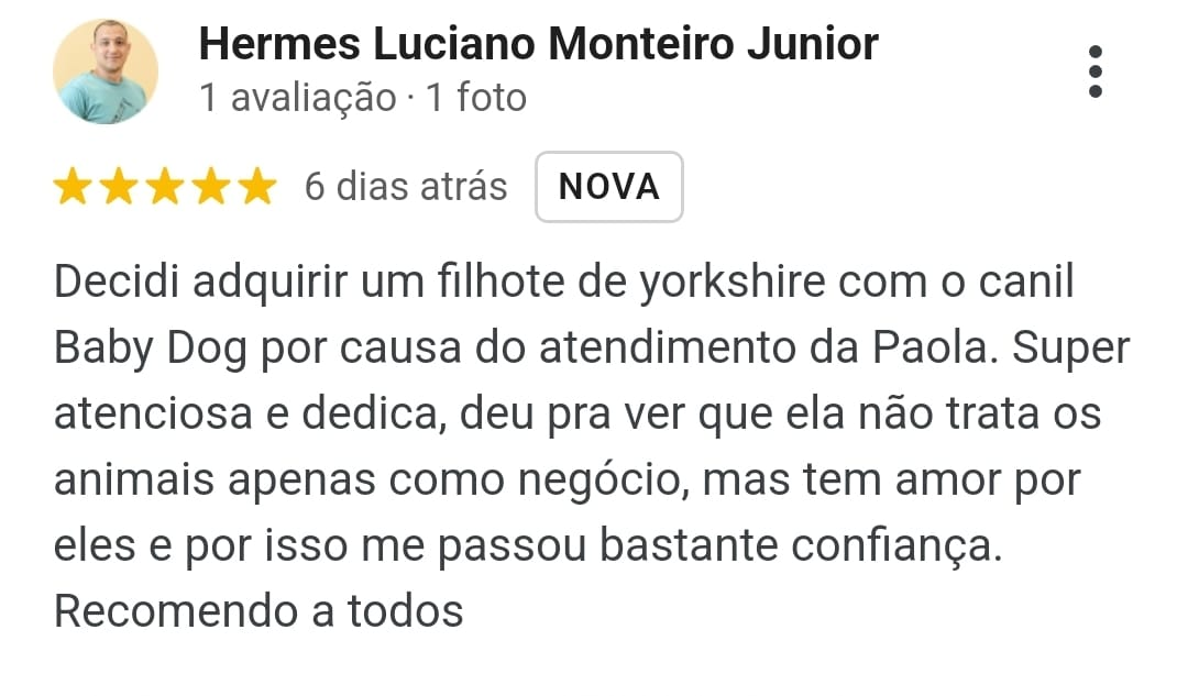 imagem_2024-02-22_144331700