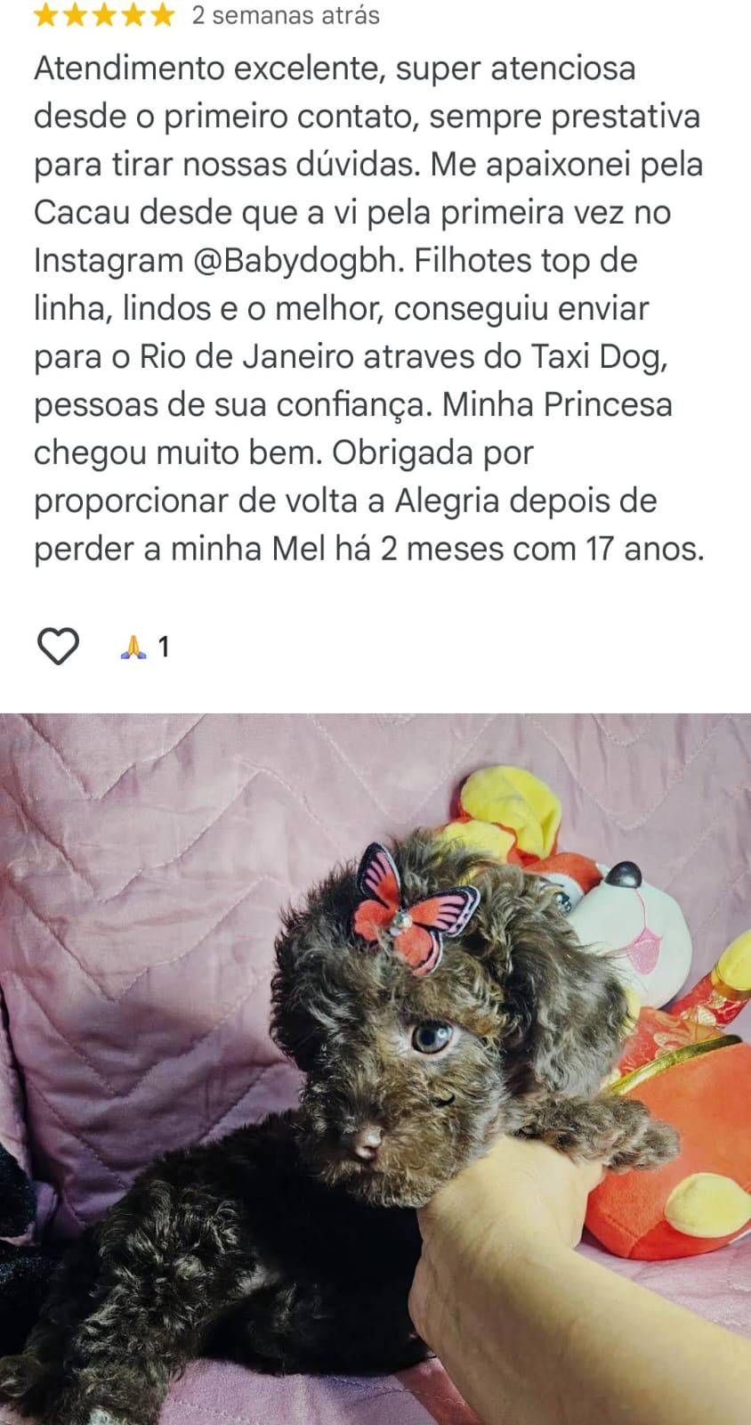 imagem_2024-12-06_164008176